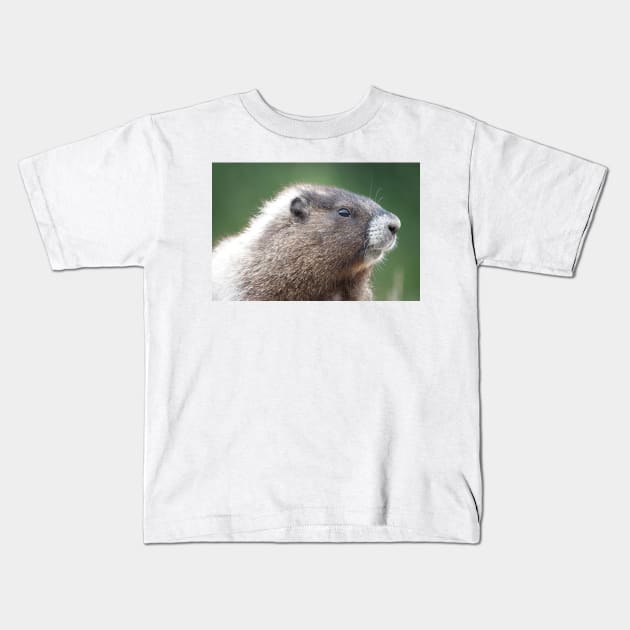 Young marmot in Mount Rainier National Park Kids T-Shirt by SDym Photography